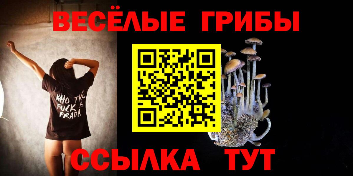 Галлюциногенные грибы ЛСД Междуреченск