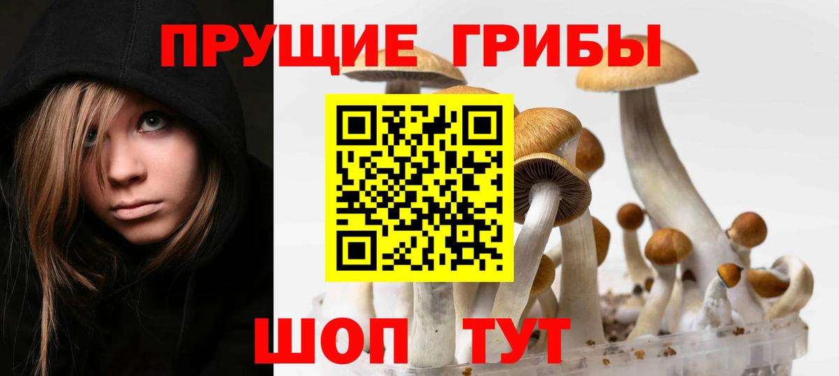 Междуреченск  Галлюциногенные грибы MAGIC MUSHROOMS  Вход с VPN 